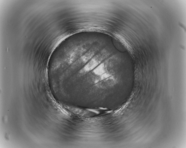 X0000094940932200712201111