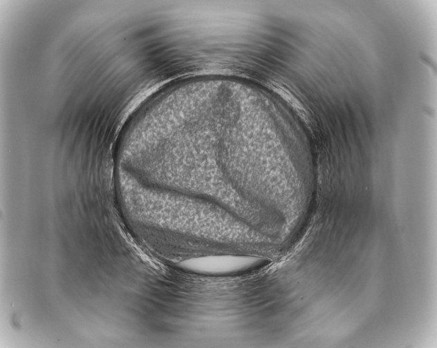 X0000094940933200712201111