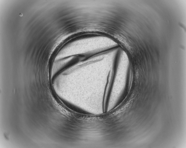 X0000094940934200712201111