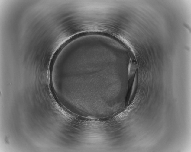 X0000094940935200712201111