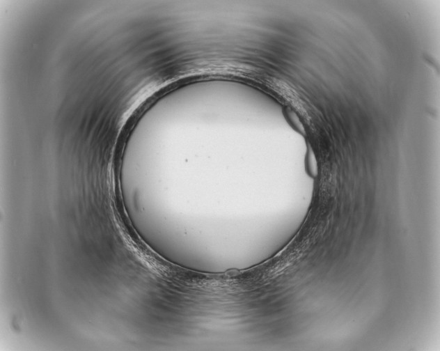 X0000094940936200712201111