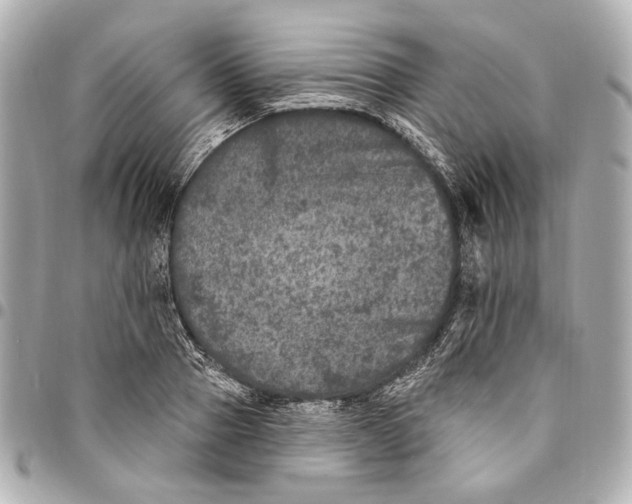 X0000094940937200712201111