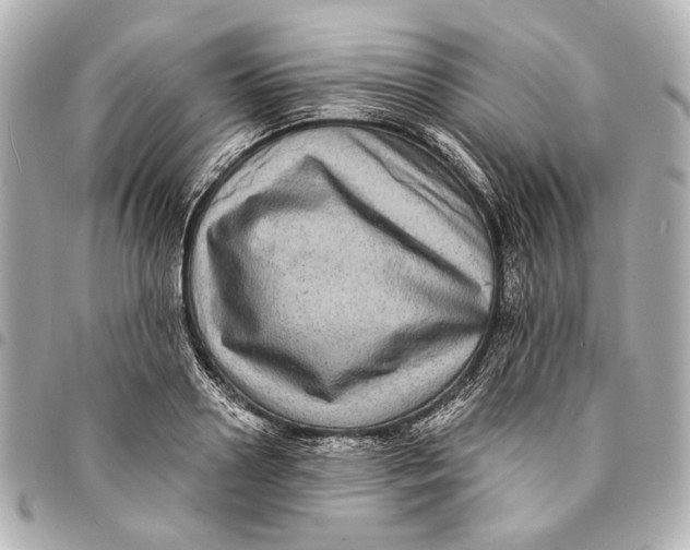 X0000094940938200712201111