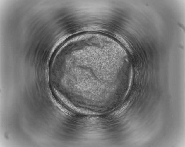 X0000094940939200712201111