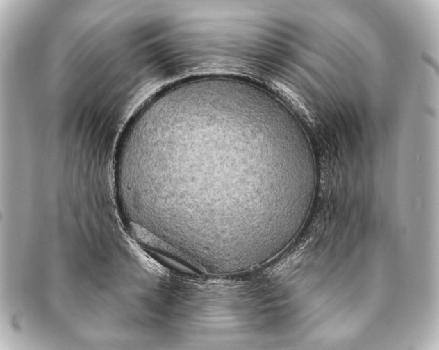 X0000094940942200712201112