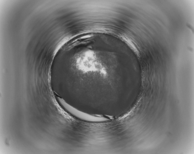 X0000094940944200712201112