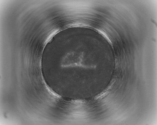 X0000094940946200712201112