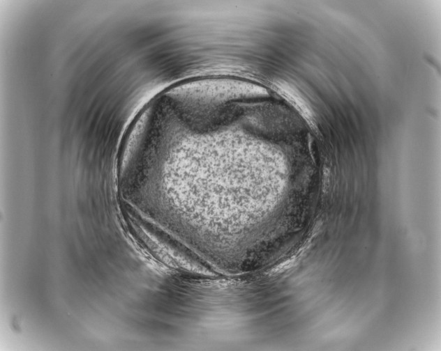 X0000094940948200712201112