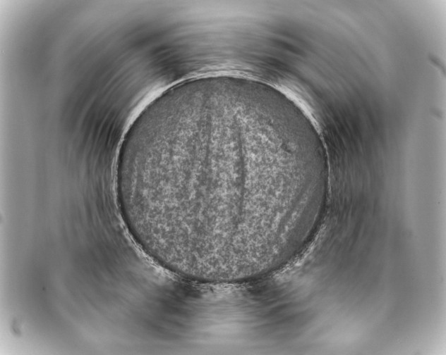 X0000094940949200712201112