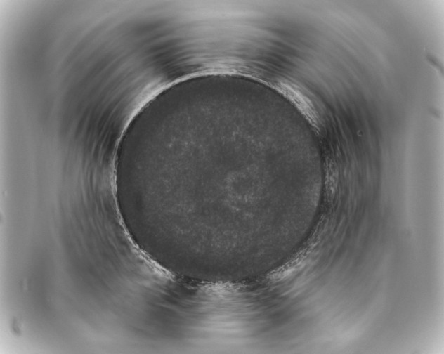 X0000094940950200712201112