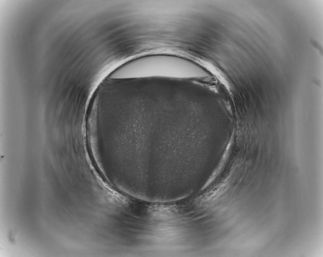 X0000094940951200712201112