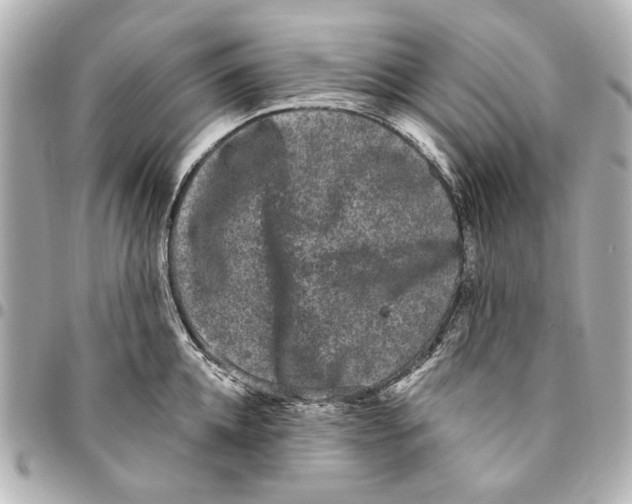 X0000094940952200712201112