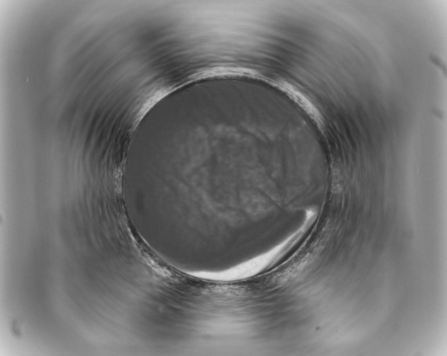 X0000094940953200712201112