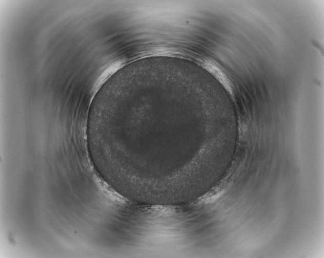 X0000094940954200712201112