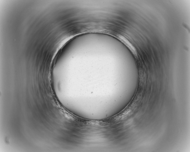 X0000094940956200712201112