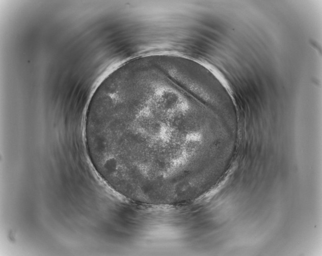 X0000094940957200712201112