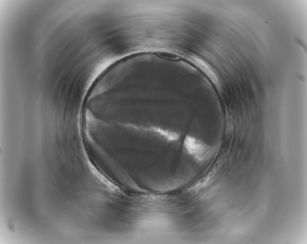 X0000094940958200712201112