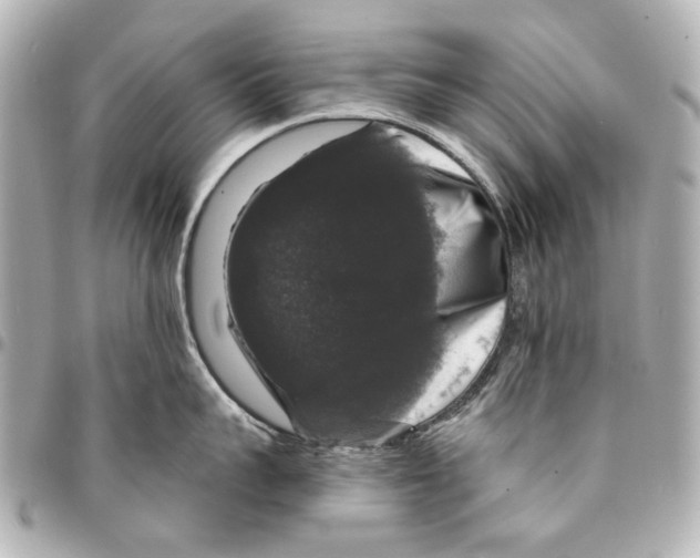 X0000094940959200712201112