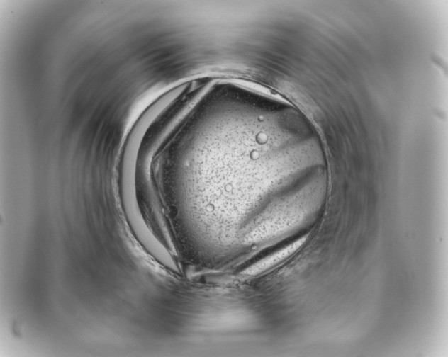 X0000094940960200712201112