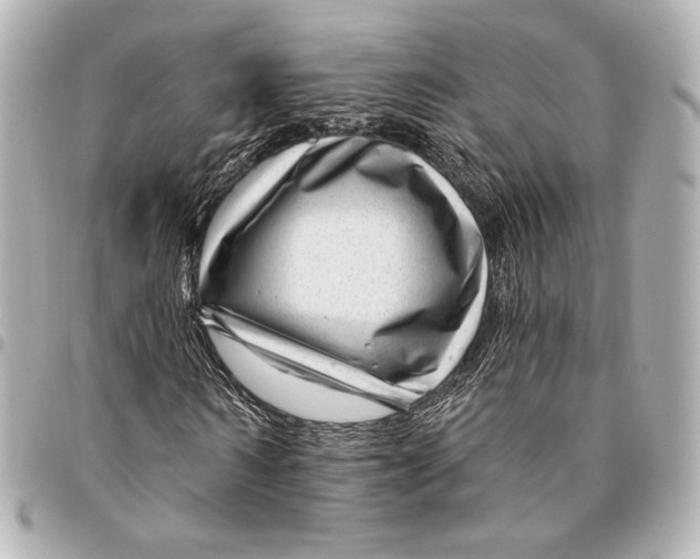 X0000094940962200712201111