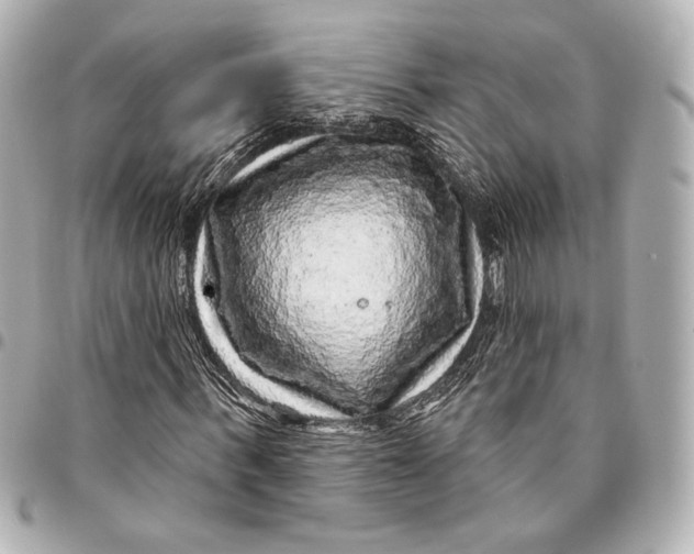 X0000094940963200712201111