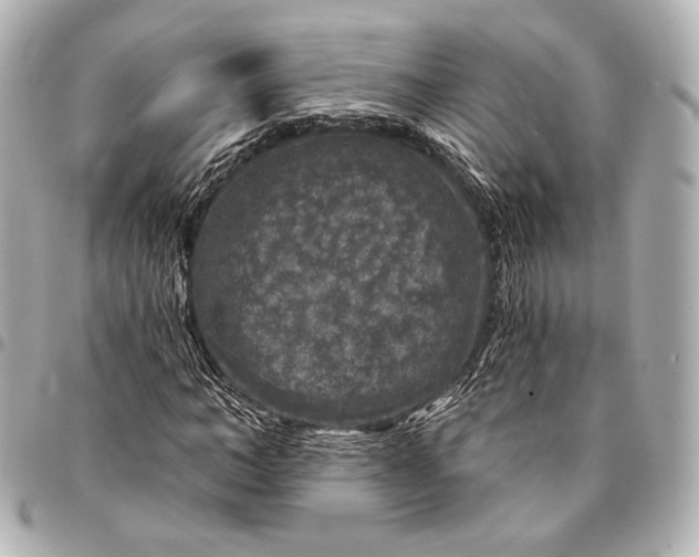 X0000094940966200712201111