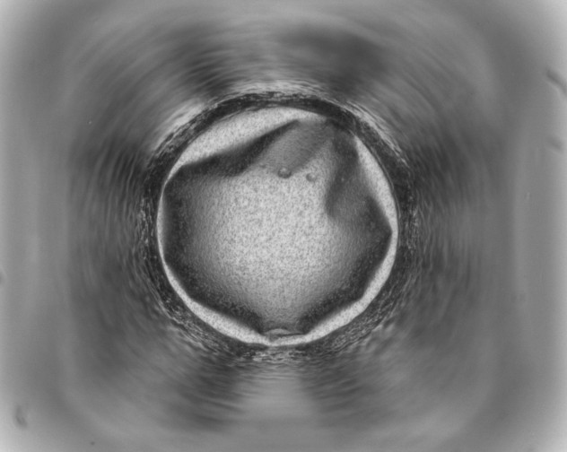 X0000094940967200712201111