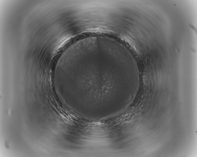 X0000094940968200712201111