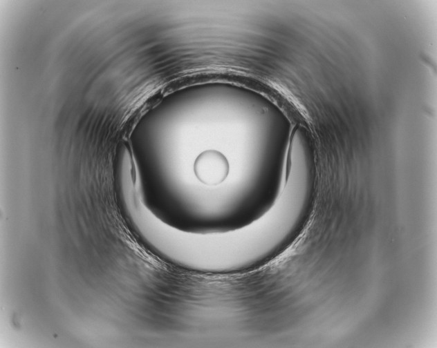 X0000094940969200712201111