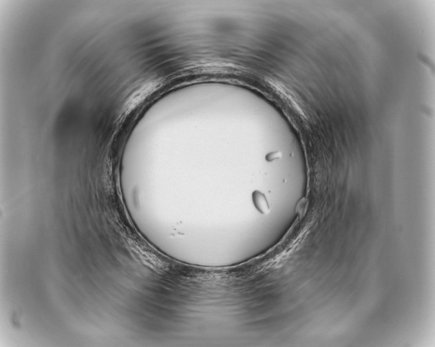 X0000094940970200712201111