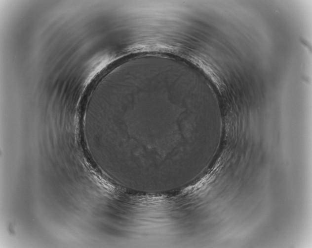 X0000094940975200712201111