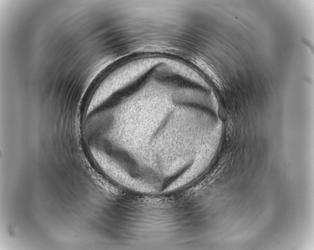 X0000094940976200712201111