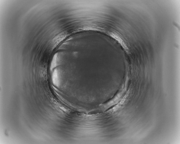 X0000094940977200712201111