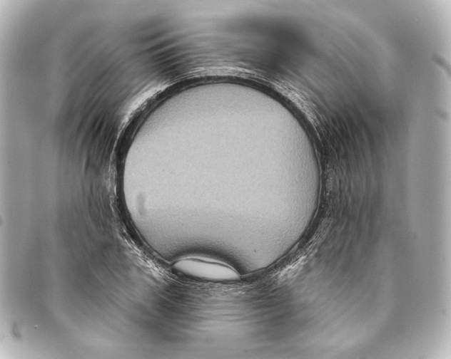 X0000094940979200712201111