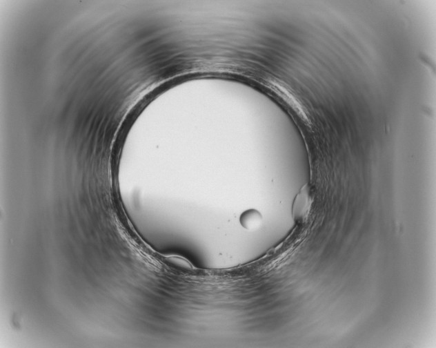 X0000094940980200712201111