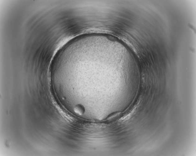 X0000094940981200712201111