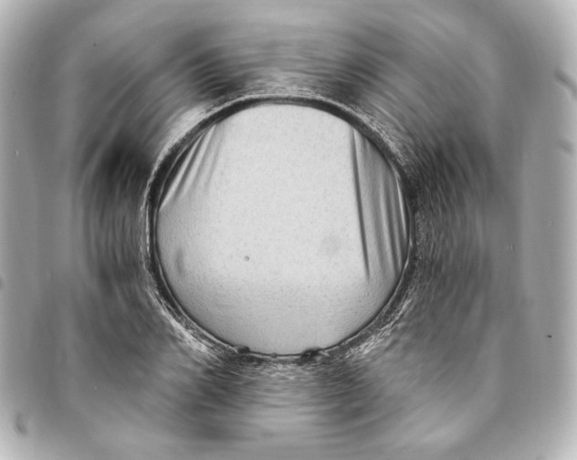 X0000094940982200712201111