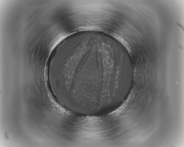 X0000094940983200712201111