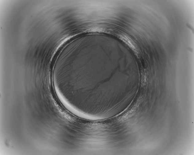 X0000094940984200712201111