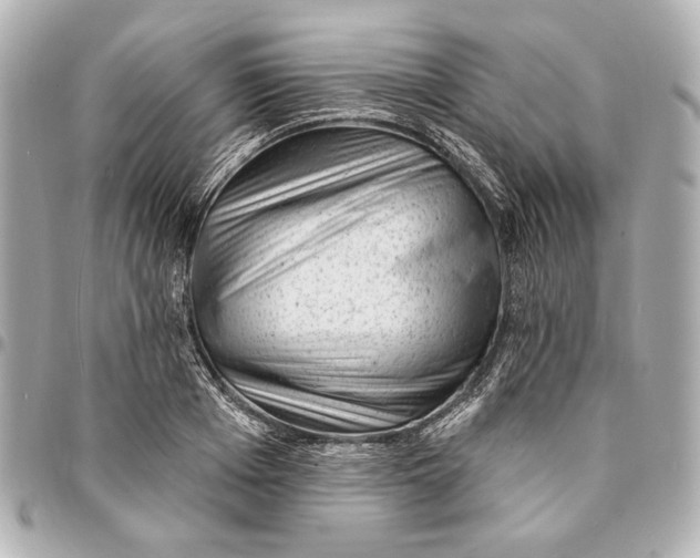 X0000094940985200712201111