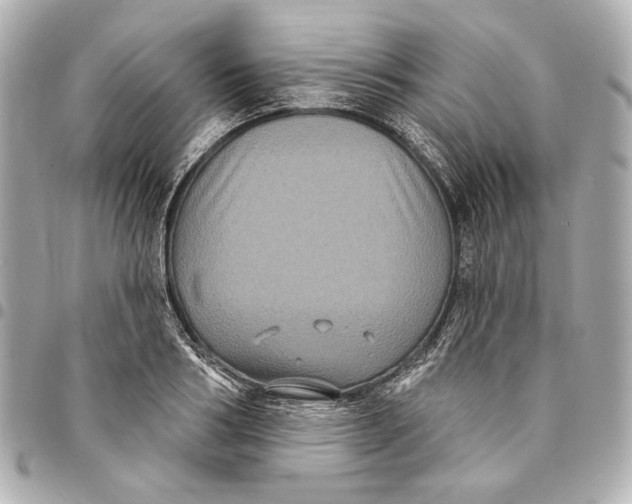 X0000094940986200712201111