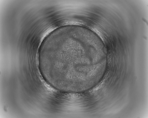 X0000094940987200712201111