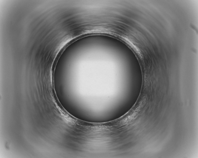 X0000094940988200712201111