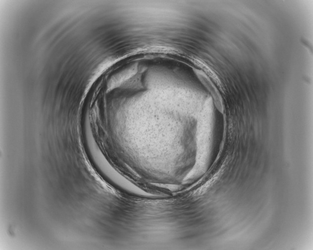 X0000094940989200712201111