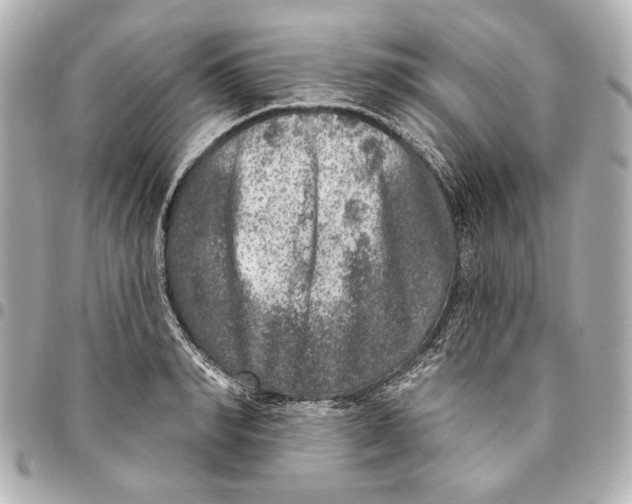 X0000094940990200712201111