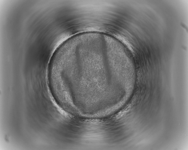 X0000094940991200712201111