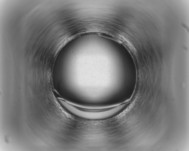 X0000094940993200712201111