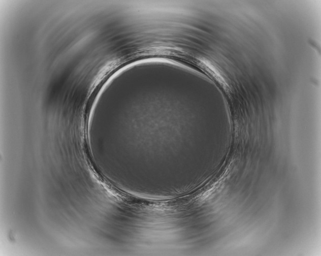 X0000094940994200712201111