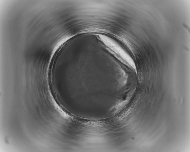 X0000094940995200712201111