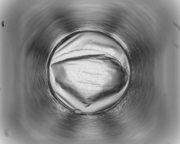 X0000094940996200712201111